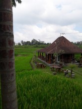 Ubud: Entre temples et rizières